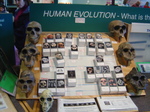 DSC00401.JPG