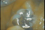 PICT0488.JPG